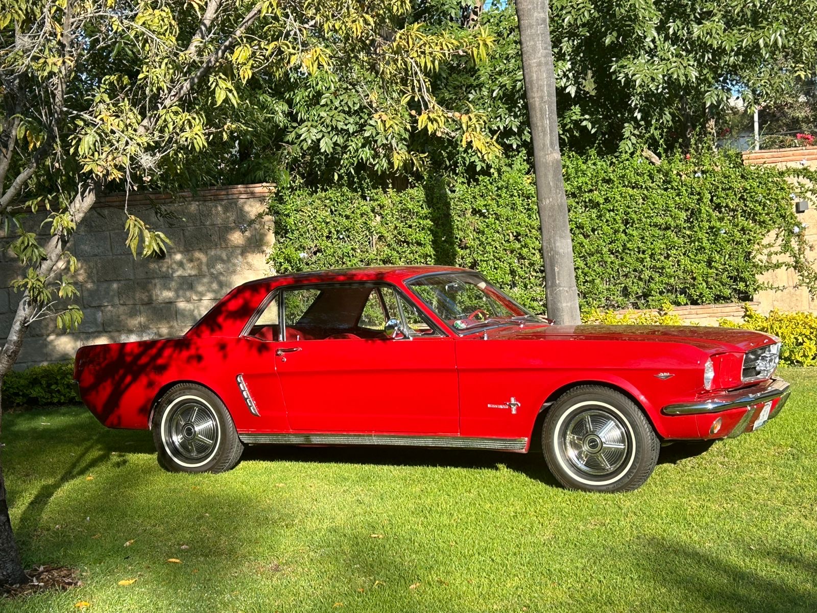 Ford Mustang Hard Top
