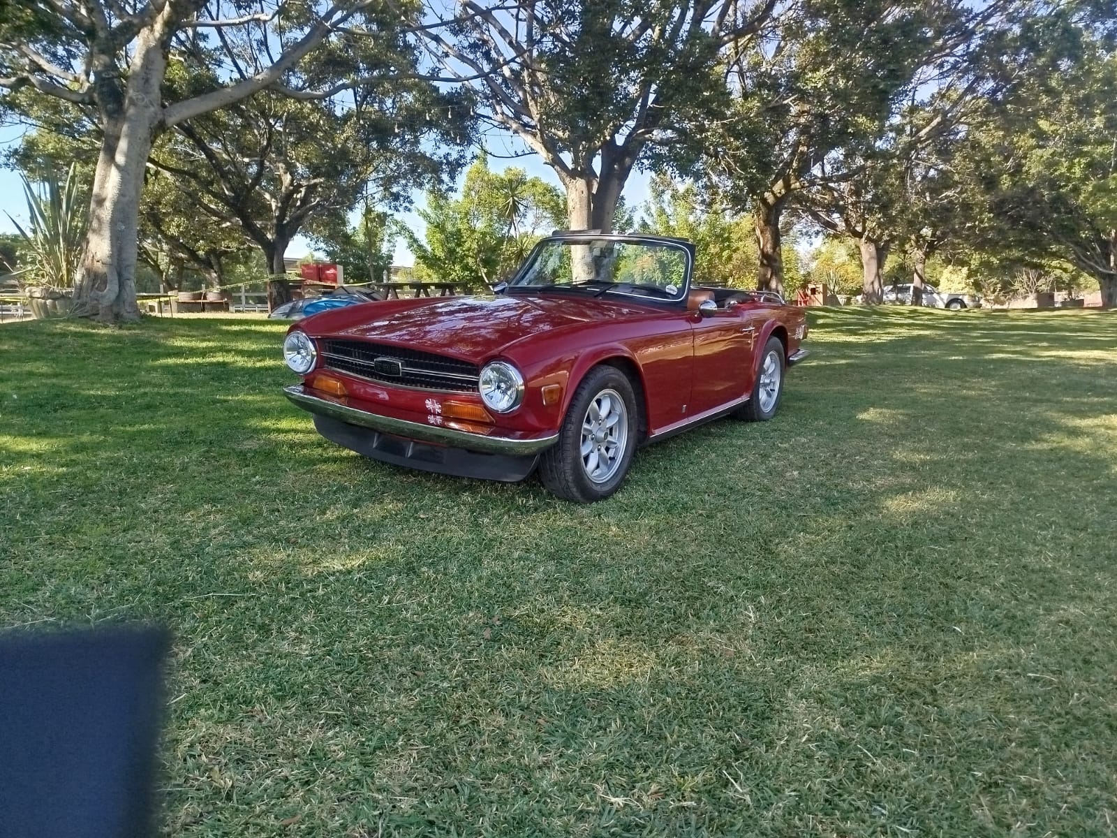 Triumph Convertible