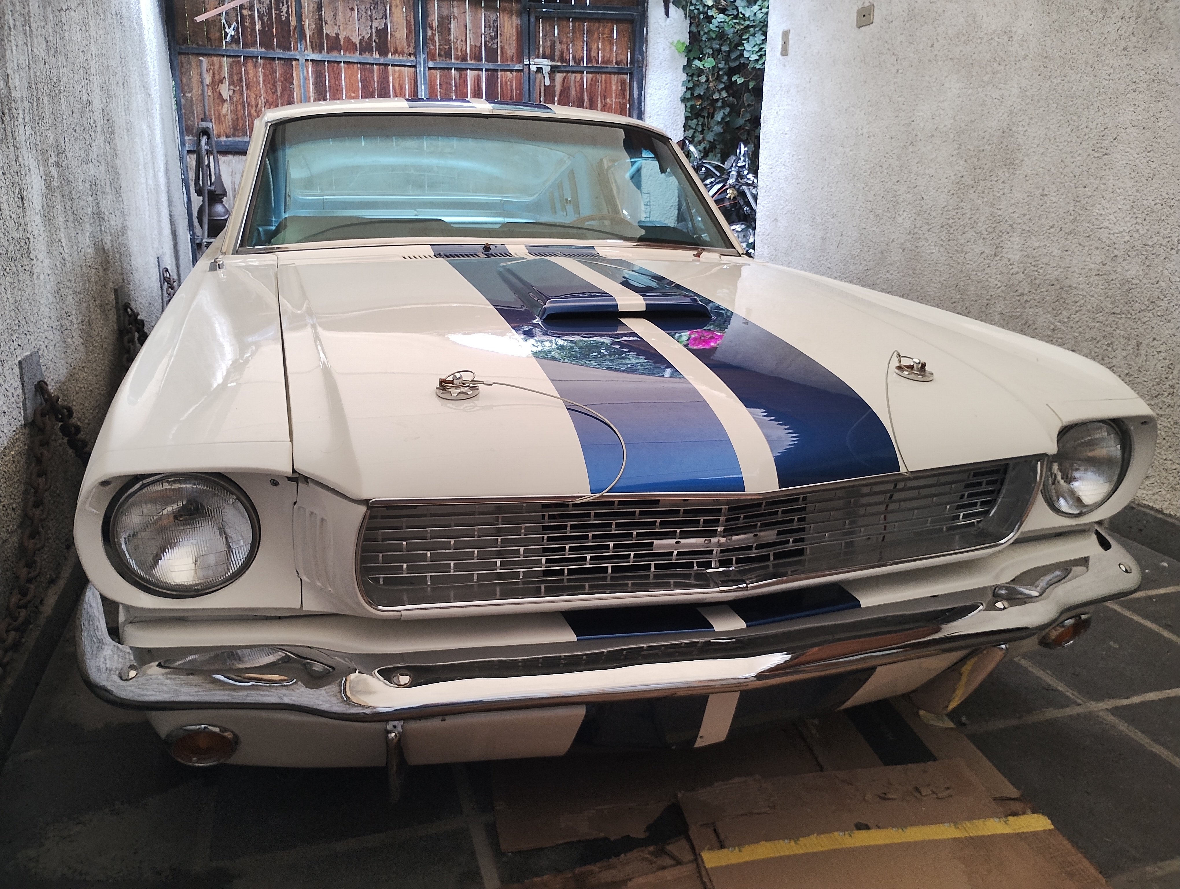 Ford Mustang