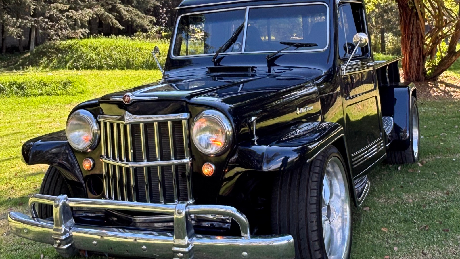 Willys Willys