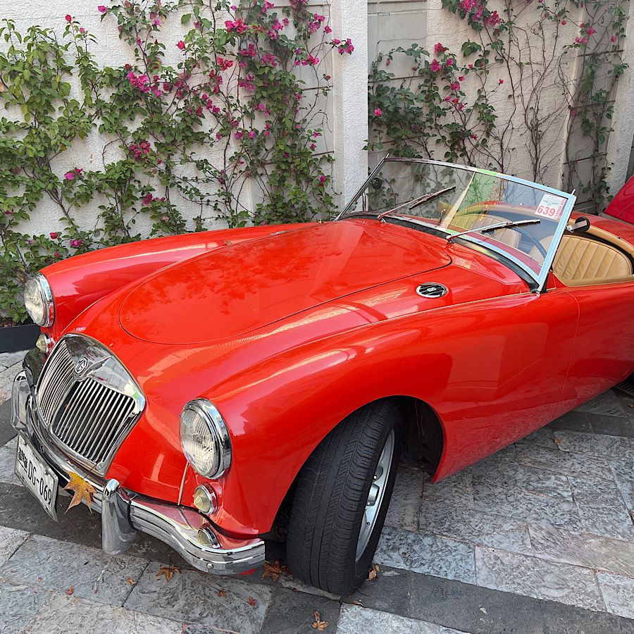 MG Mg roadster