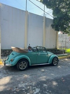 volkswagen sedan