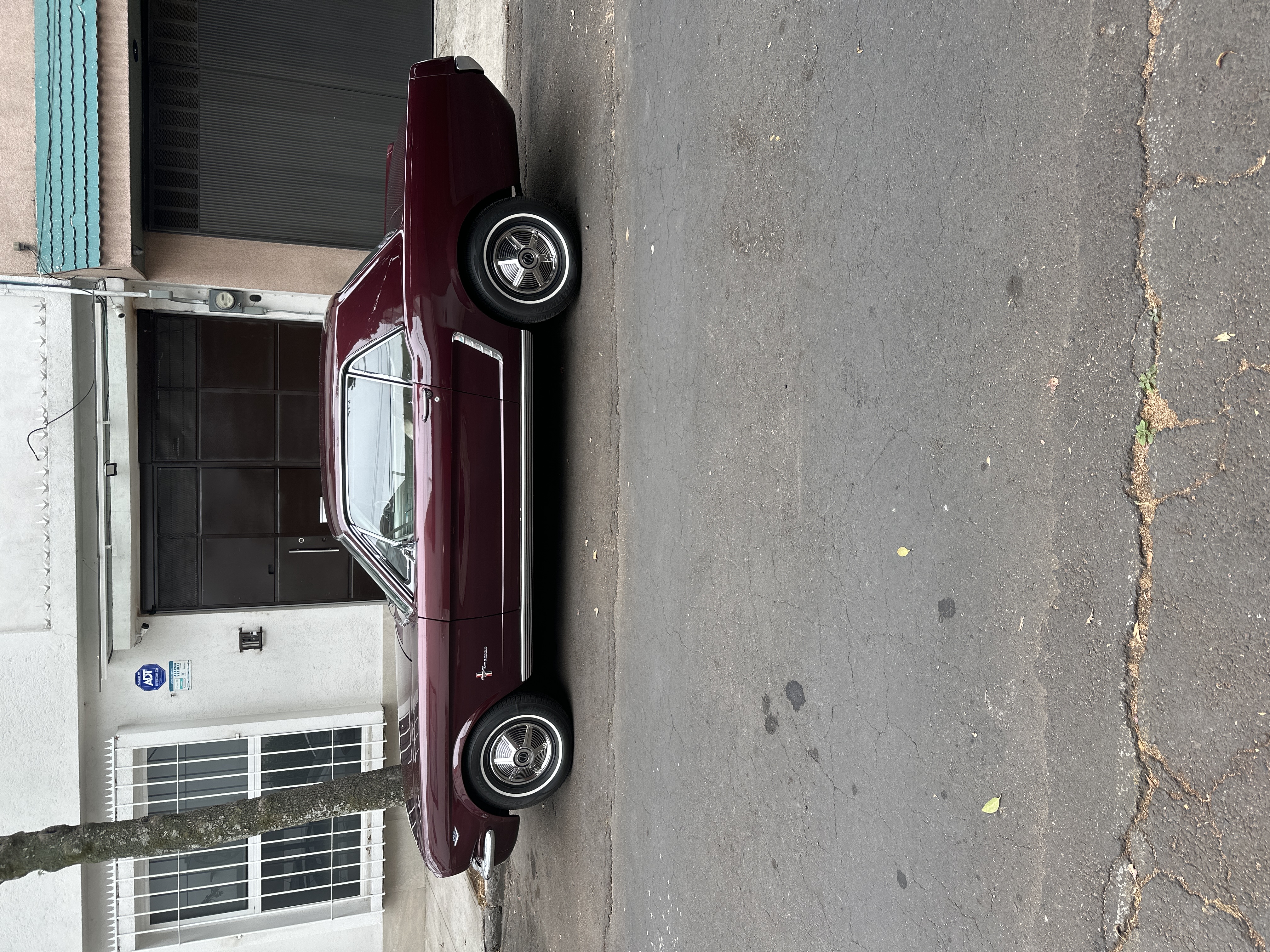 Ford Mustang Hardtop Ford Mustang 1965