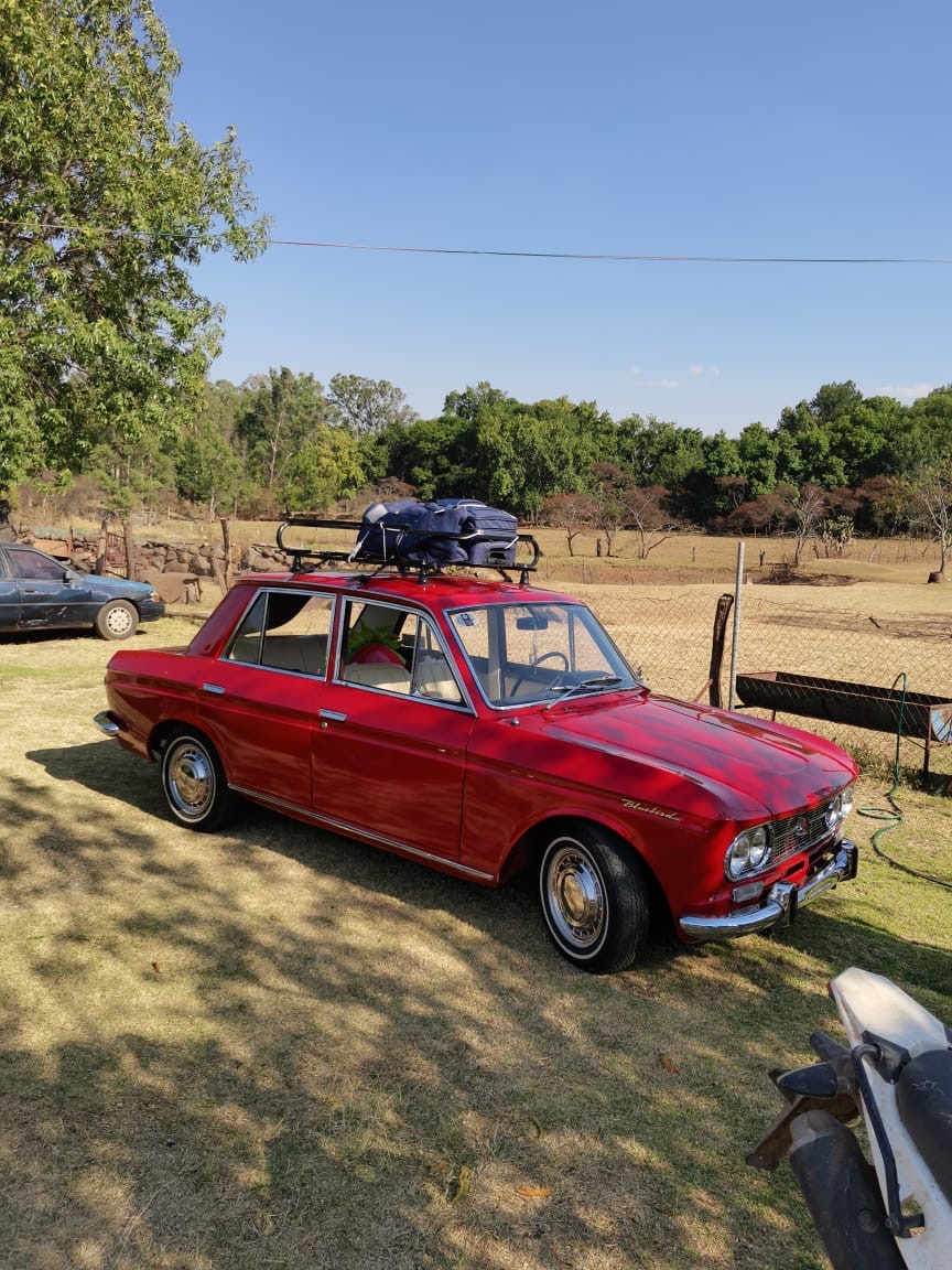 Datsun Bluebir