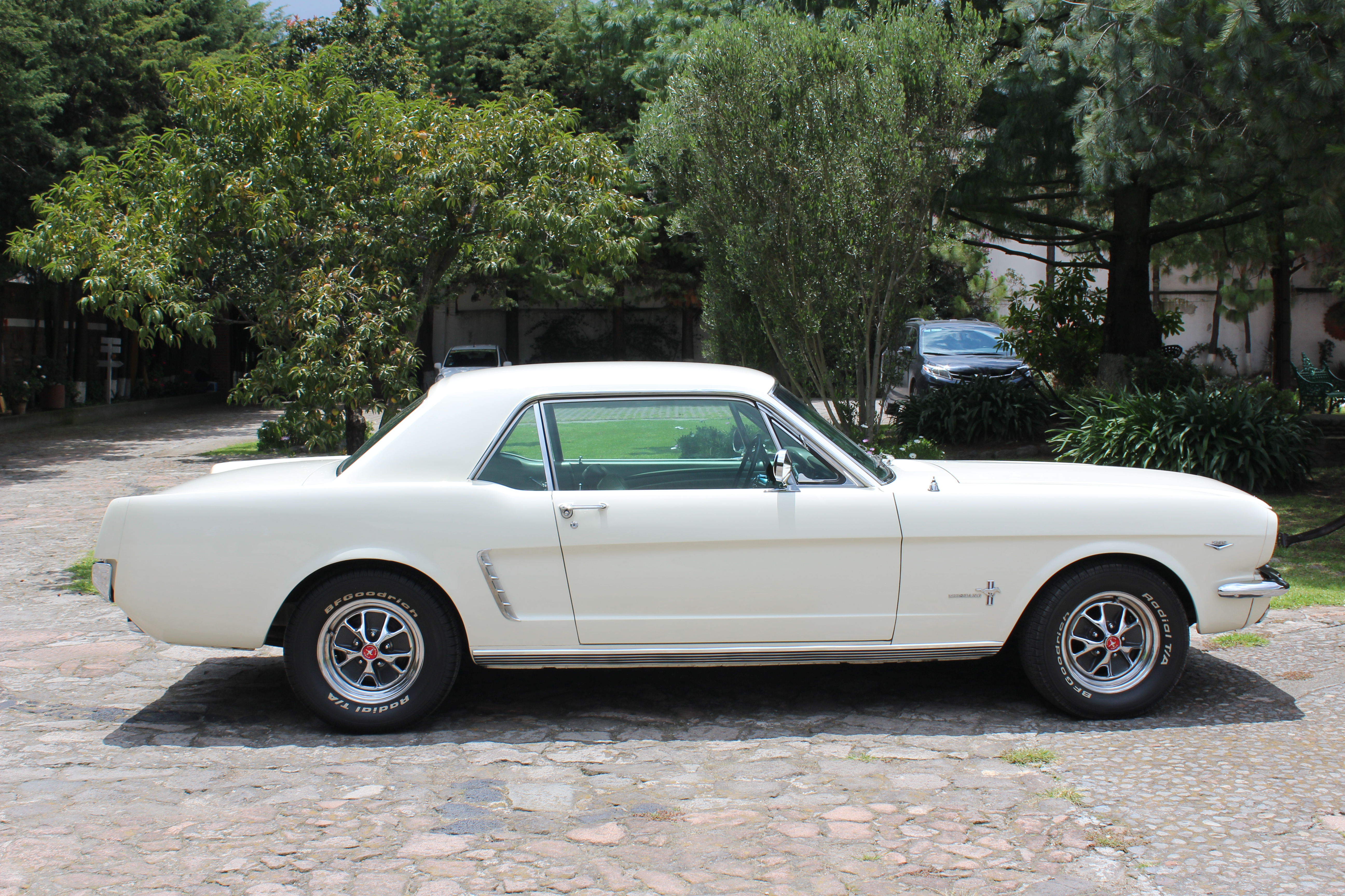 FORD MUSTANG 1965